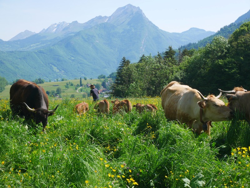 Parcs aux roux